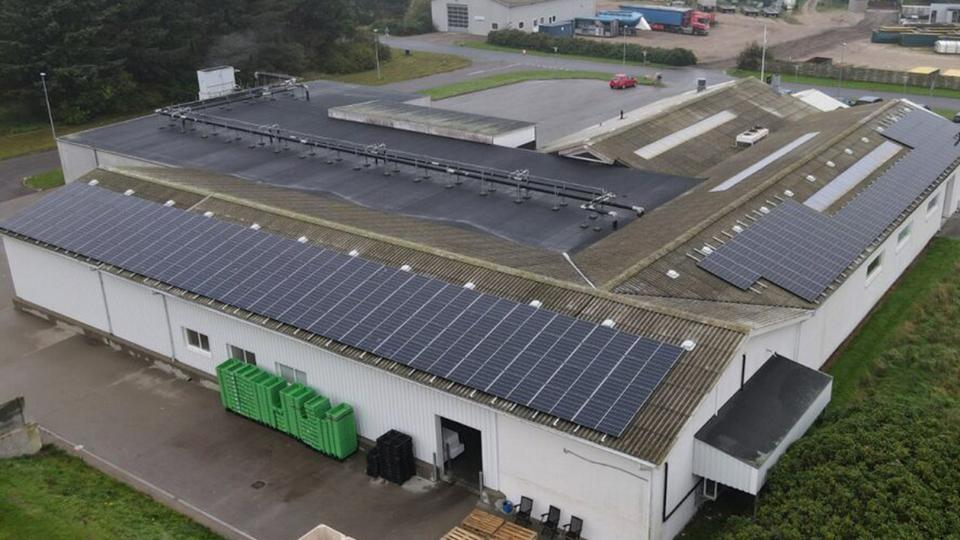 Fonfisk Hanstholm: How they became part of the green transition