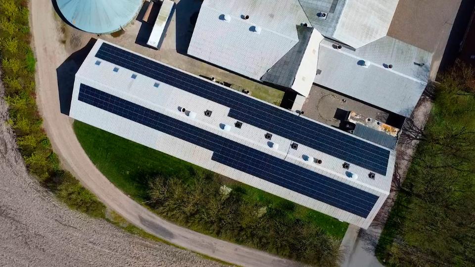 Fårtoft Genetik: Reducing CO2 emissions with solar energy